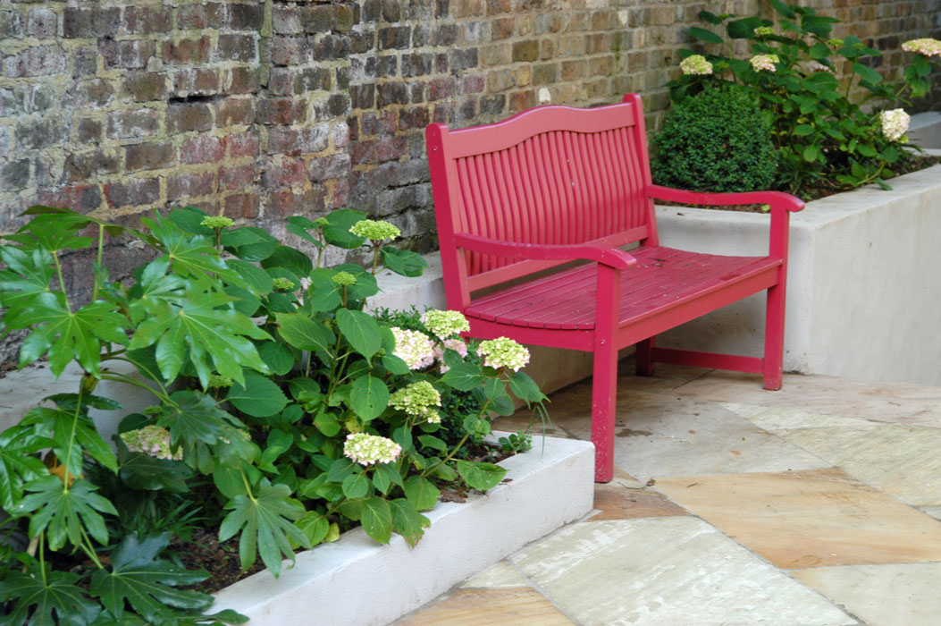 Low raised beds, hydrangeas and Fatsia